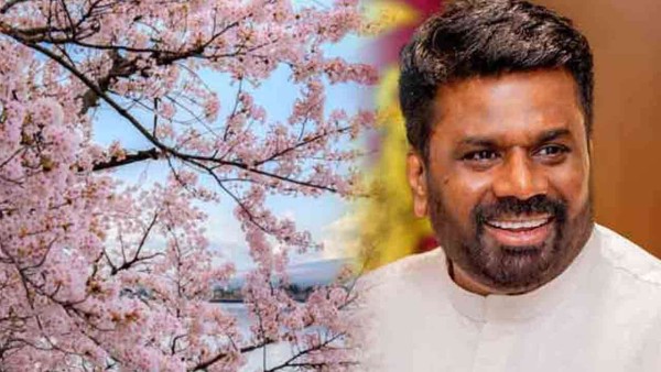 ஜப்பானுக்கு சென்றுள்ள ஜனாதிபதி அநுரவின் அடுத்த நகர்வு 